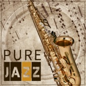 Pure Jazz – Lounge Ambient artwork