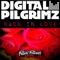 Back in Love (ASMR Remix) - Digital Pilgrimz lyrics