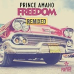 Freedom (Tomtrax Remix Edit)