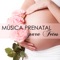 Canciones Prenatales - Musica Prenatal Maestro lyrics