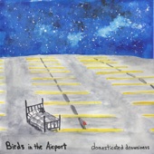 Birds in the Airport - Honey Moon