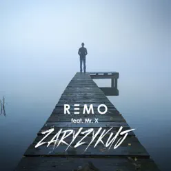 Zaryzykuj (feat. Mr X) - Single - Remo Zaryzykuj (feat. Mr X) - Single - Remo
