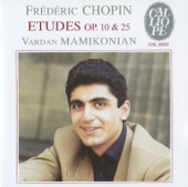 24 Études: No. 19 in C-Sharp Minor, Op. 25 No. 7 "Cello" artwork