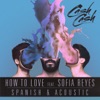 How to Love (feat. Sofia Reyes) [Spanish & Acoustic] - Single, 2016