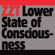 Lower State of Consciousness (Justice Remix) - ZZT