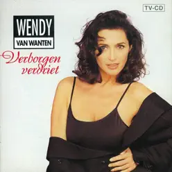 Verborgen Verdriet - Wendy Van Wanten