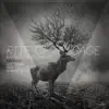 Rite of Passage - Single album lyrics, reviews, download