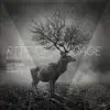 Stream & download Rite of Passage - Single