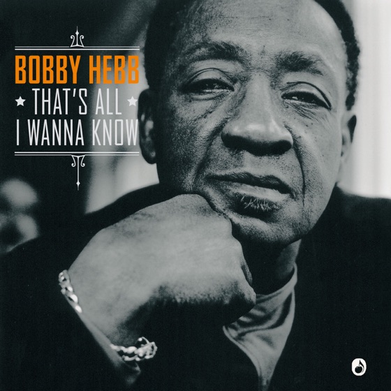 Cover artwork for Sunny (with Astrid North)