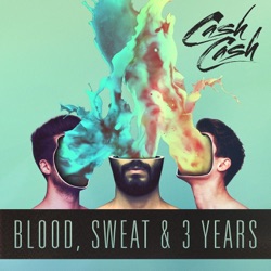 Cash Cash - Millionaire (feat. Nelly)