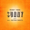 Sunny (Radio Edit) [with Astrid North] - Single