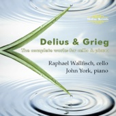 Sonata for Cello and Piano, RT viii/7: II. Lento, molto tranquillo artwork