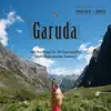 Meditation Tunes - Pakshi / Bird - Garuda album lyrics, reviews, download
