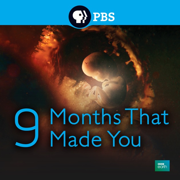9 months that made you on itunes