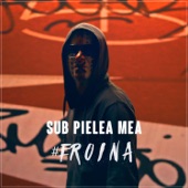 Sub Pielea Mea (Midi Culture Remix) [Extended Mix] artwork