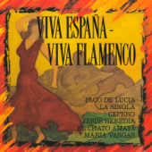 Viva España - Viva Flamenco (Live) - Various Artists