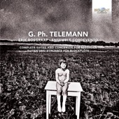Telemann: Complete Suites and Concertos for Recorder artwork