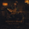 Monkey Brain, 2016