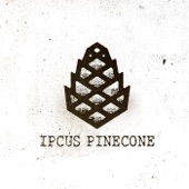 Pinecone artwork