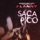 J Lanny-Saca Pico