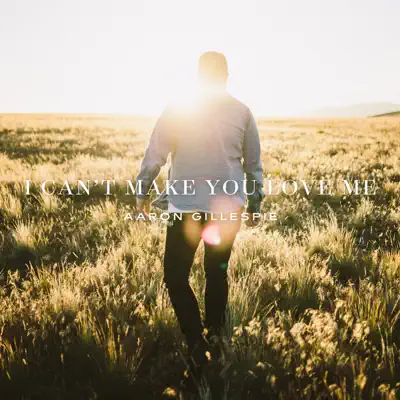 I Can't Make You Love Me - Single - Aaron Gillespie