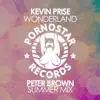 Stream & download Wonderland (Peter Brown Summer Mix) - Single