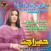 Meda Yaar Saraiki Dholna, Vol. 2 album lyrics, reviews, download