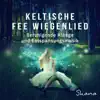 Keltische Fee Wiegenlied: Beruhigende Klänge und Entspannungsmusik, Anti Stress, Therapie Seelengarten, Harmonie, Ruhigen & Guten Schlaf album lyrics, reviews, download