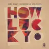 How Lucky (feat. Arnold Jarvis) - EP album lyrics, reviews, download
