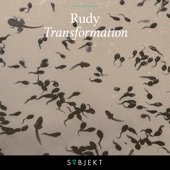 Transformation (Extended Mix) artwork