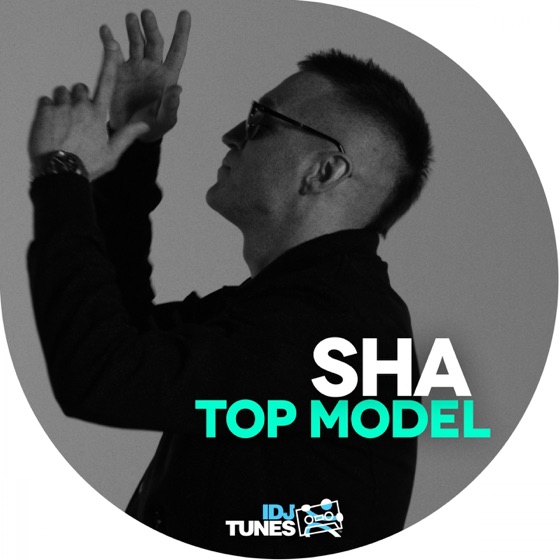 Cover artwork for Top Model