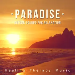 Paradise: Nature Sounds for Relaxation - Healing Therapy Music, Chillout Beach Lounge, Zen New Age, Yoga Nidra, Four Elements, Deep Meditation & Spa by Spa Music Paradise album reviews, ratings, credits