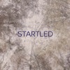 Golden Fable - Startled