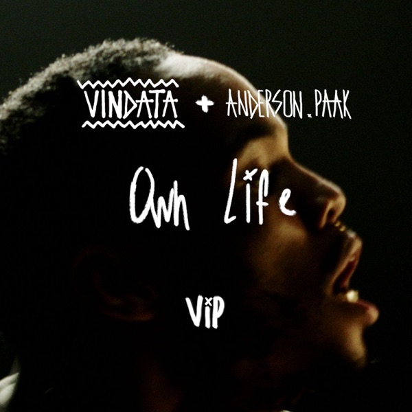 Own Life (feat. Anderson .Paak) [VIP Mix] - Single - Vindata