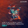Obey (feat. Enrique Dragon) [Extended Mix]