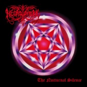 The Nocturnal Silence