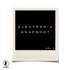 Electronic Snapshot, Vol. 1