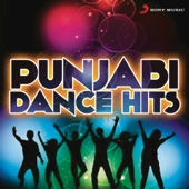 Punjabi Dance Hits - Various Artists