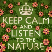 Keep Calm and Listen to the Nature artwork