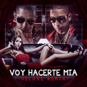 Voy a Hacerte Mia (Deluxe Remix) [feat. Nengo Flow] artwork