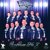 Mariachi Vargas De Tecalitlan - Huapango de Moncayo