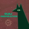 Respiration - Single