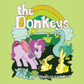 Theme from the Endless Summer - The Donkeys