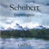 Schubert: Impromptus
