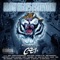 Beautiful Nightmare - Rasheed lyrics