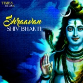 Shiv Tandav Stotram artwork