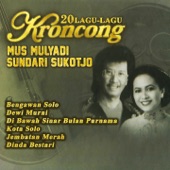 20 Lagu-Lagu Keroncong Mus Mulyadi & Sundari Sukotjo artwork