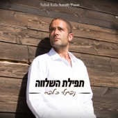 ואני artwork