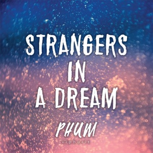 Strangers in a Dream - Single