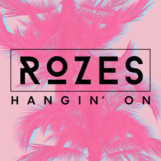 Cover artwork for Hangin' On
